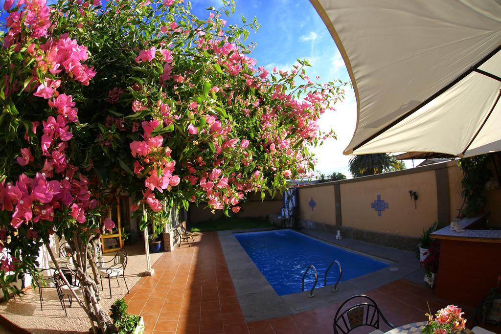 Hotel Puerto De Vega Vallenar Exterior photo